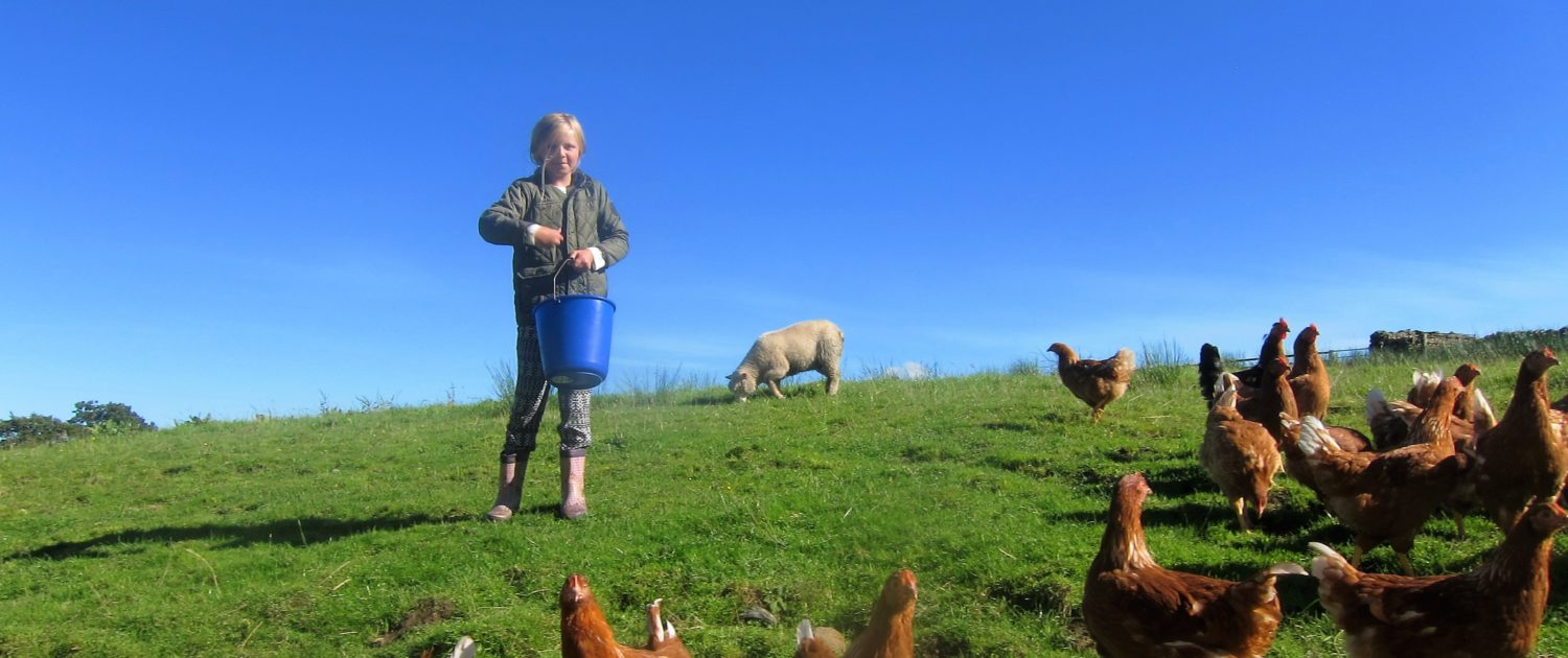 Children learning from the Bowland Farm Education hatching programme